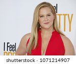 Amy Schumer At The Los Angeles...