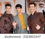 Small photo of Kevin Jonas, Joe Jonas and Nick Jonas at the premiere of Amazon Prime Video's 'Chasing Happiness' held at the Regency Bruin Theatre in Westwood, USA on June 3, 2019.