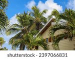 Small photo of A beach house with palm trees in the foreground. The house is white with a brown roof and a small porch. The palm trees are tall and green, with some fronds blowing in the wind. The sky is blue with s