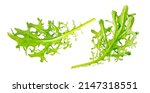 Small photo of Arugula leaf isolated on a white background. Mizuna, eruca vesicaria with clipping path.