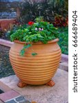 Terracotta Flower Pot Isolated...