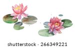 Watercolor Lotus Isolated On...