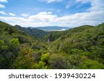 Landscape view over forest and native bush from side of Mount Hobson on Great Barrier Island New Zealand.