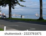 Small photo of Tauranga New Zealand - June 26 2023; View through Norfolk pines lining waterfront on Pilot Bay of both sides of Port of Tauranga facilities