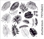 tropical leaves silhouette | Shutterstock .eps vector #795768631