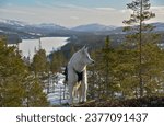 Walking with the white dog in mountains in Norway