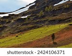 Small photo of Spring landscape in Finnmark in Norway