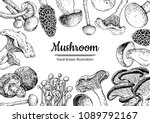 Mushroom Hand Drawn Vector...