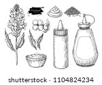 mustardi sauce set. drawing.... | Shutterstock . vector #1104824234