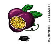 passion fruit vector drawing.... | Shutterstock .eps vector #1361222864