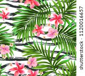 tropical seamless vector... | Shutterstock .eps vector #1120016657