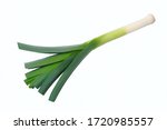 Top view of fresh leek isolated on white background