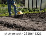 Small photo of Loosening the soil in the garden beds with an electric hand-held cultivator