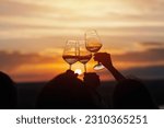 A group of girlfriends raise a toast with glasses of white wine on a sunset. Close shot.	
