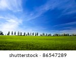 young field of winter wheat on blue sky background