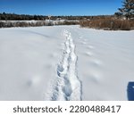 Small photo of A footprints path going toward an unplowed road.