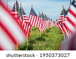 Hundreds of American flags planted on the lawn