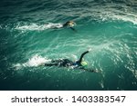 Swimmers swim during Swimming Competition in the Sea. Open water sport race