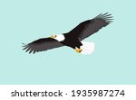 Vector Eagle Hawk Bird Breed Is ...