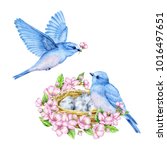 Cute Little Blue Bird With Nest ...