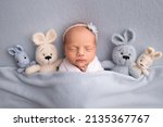 Small photo of Sleeping newborn girl in a white cocoon with white bandage and a blue flower. Studio macro photography, portrait of a newborn ballerina, toys bunnies.