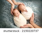 Small photo of Tiny newborn twin boys in white cocoons on a blue background. Parents, mother and father, hold the children twins with their palms. Studio professional photography of newborn twins