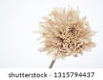 Brown Dried Flowers On A White...