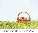 Colorful Easter eggs on the green grass in a wicker basket. A place for the text.