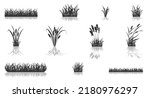 Silhouette of swamp grass with reeds is mirrored. Set of vector illustrations of black shadows of marsh vegetation for design. Elements of meadow and lake plants on white background.