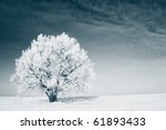 Frozen Tree On Winter Field And ...
