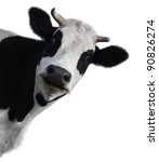 Funny Cow Isolated On A White...