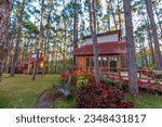 A cabin in the pine forest on the mountain is a good choice for traveller who wants to get away from busy days in the city. The cabin surrounded by beautiful natures and fresh air are so attractive.