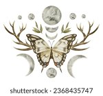 Butterfly with moons and deer horns. Watercolor illustration of an insect with wings and antlers in a magical celestial composition. Hand drawn on a white isolated background. Vintage esoteric print.