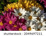Bright beautiful bouquet of yellow white and red flowers, fragment, close. High quality photo