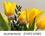 Vase with eucalyptus branches and yellow tulips on grey background, closeup. High quality photo