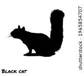 Black Cat Friend Squirrel...