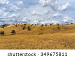 Rural Australian Landscape....
