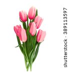 Bouquet Of Pink Tulips Isolated ...