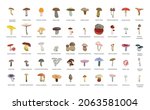 collection of realistic... | Shutterstock .eps vector #2063581004