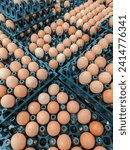 Small photo of Brown eggs are neatly arranged at the supermarket, ready to be picked by discerning customers.