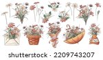 Floral Set Of Vector...
