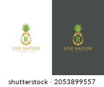 pineapple icon minimalist... | Shutterstock .eps vector #2053899557