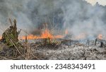 Small photo of forest fire that occurred in Kalimantan, Indonesia, on August 06 2023. source of smog. forest fires that always occur every year. stop global warming, cause of climate change. save the Earth.