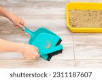 Small photo of woman sweeping dry litter from a cat litter box with a brush. cleaning up after the cat. dry cat litter