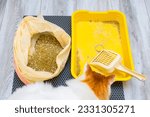 Small photo of replacing dry litter in a cat litter box. cleaning up used cat litter. cat watching cat litter cleaning. High quality photo