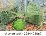 Small photo of Lonely rocks and large boulders in the inanimate nature reserve near the village of Twardorzeczka in Beskid Zywiecki (Poland)