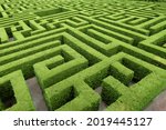 Hedge cut into a maze like...