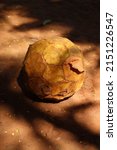 Small photo of An old soccer ball, it’s all torn up in a deplorable condition, the sun is turning it yellow in the image.