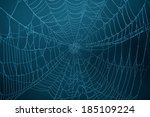 Spider Web in the darkness