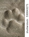 Footprint of the amur tiger ...